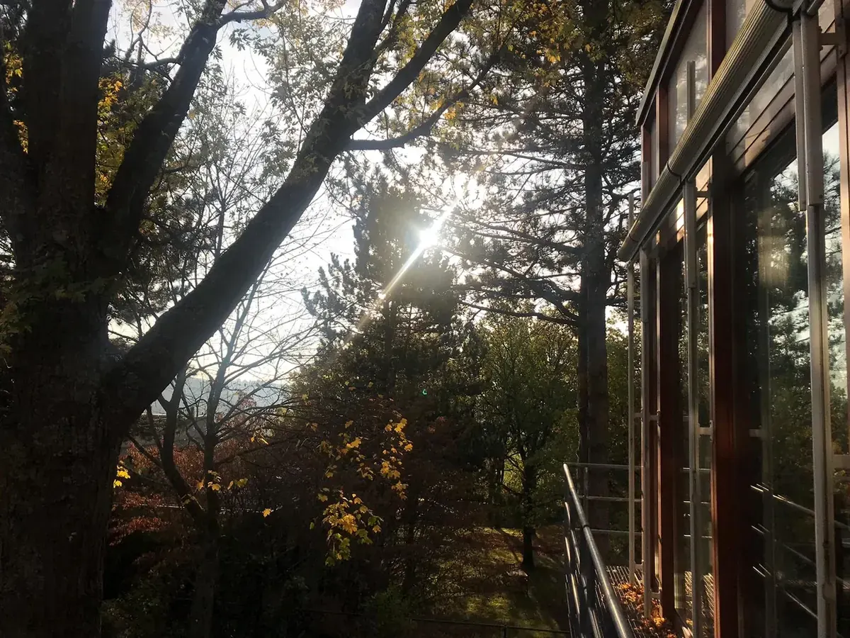 Herbstsonne in Königstein