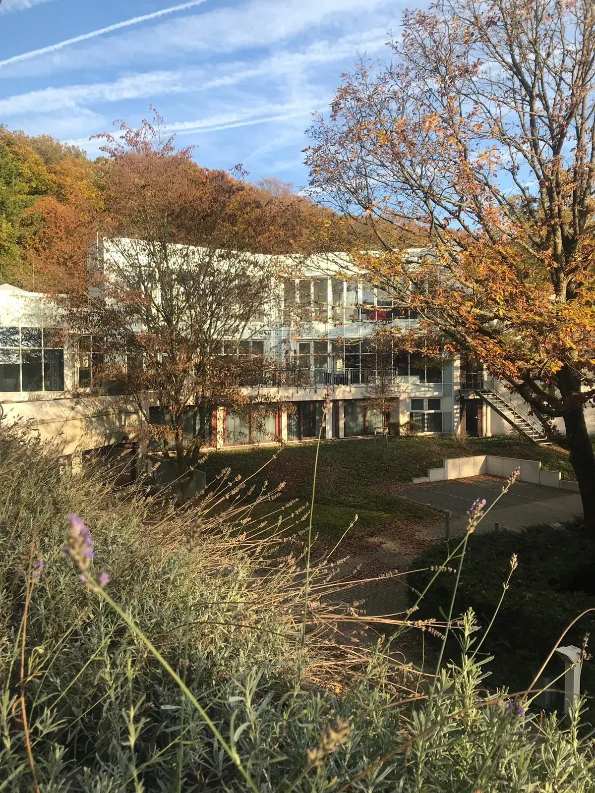 Herbstsonne in Königstein