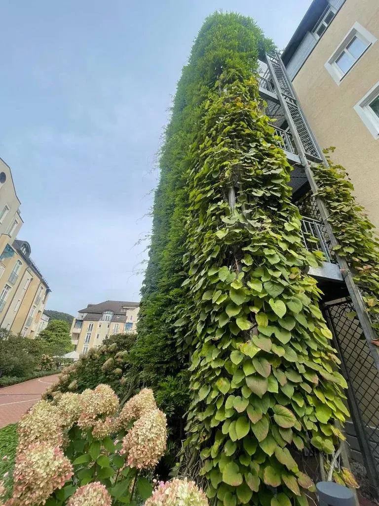 Vila Vita Rosenpark-Hotel, Marburg