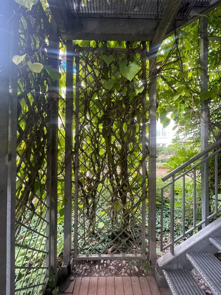Vila Vita Rosenpark-Hotel, Marburg