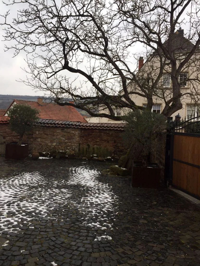 Schnee in Grünstadt