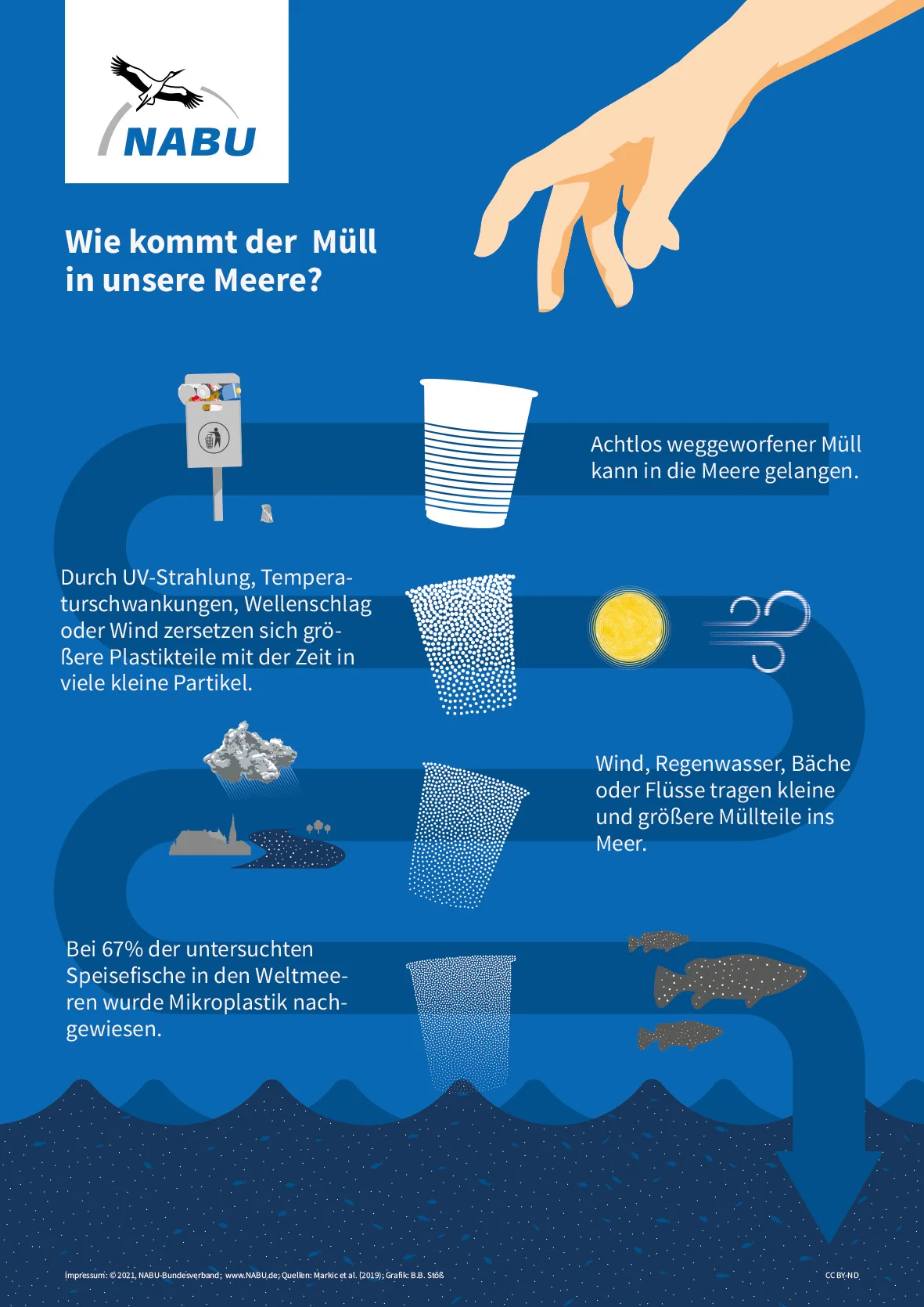 Spende für das Projekt „Meere ohne Plastik“ – Bild 4
