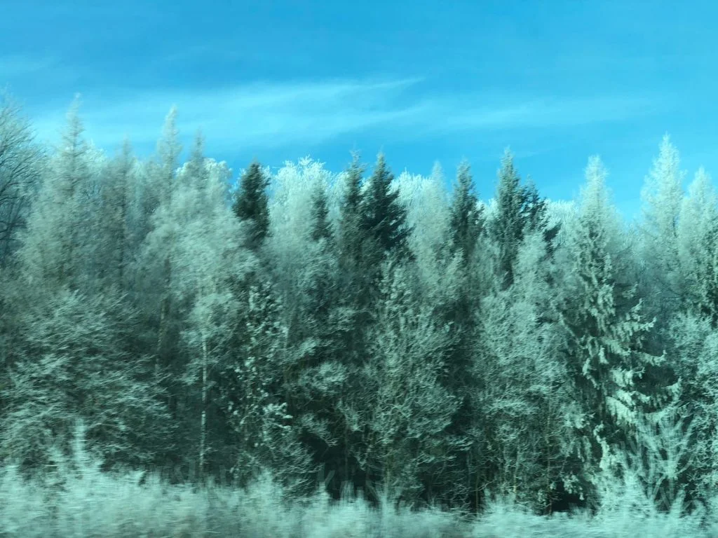 Auf dem Weg nach Wien