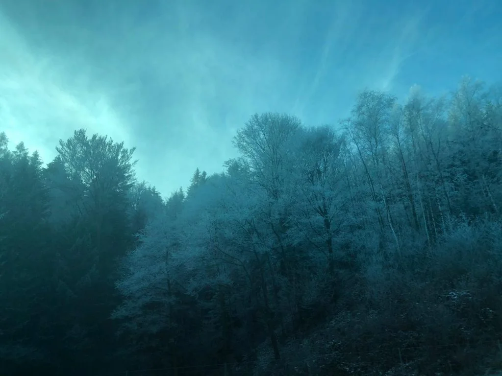 Auf dem Weg nach Wien