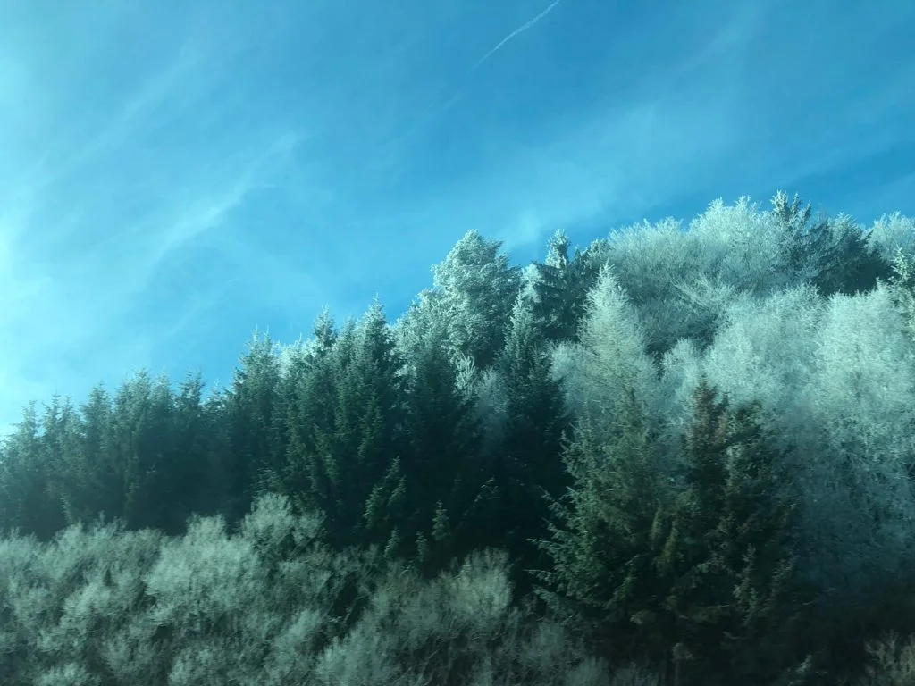 Auf dem Weg nach Wien